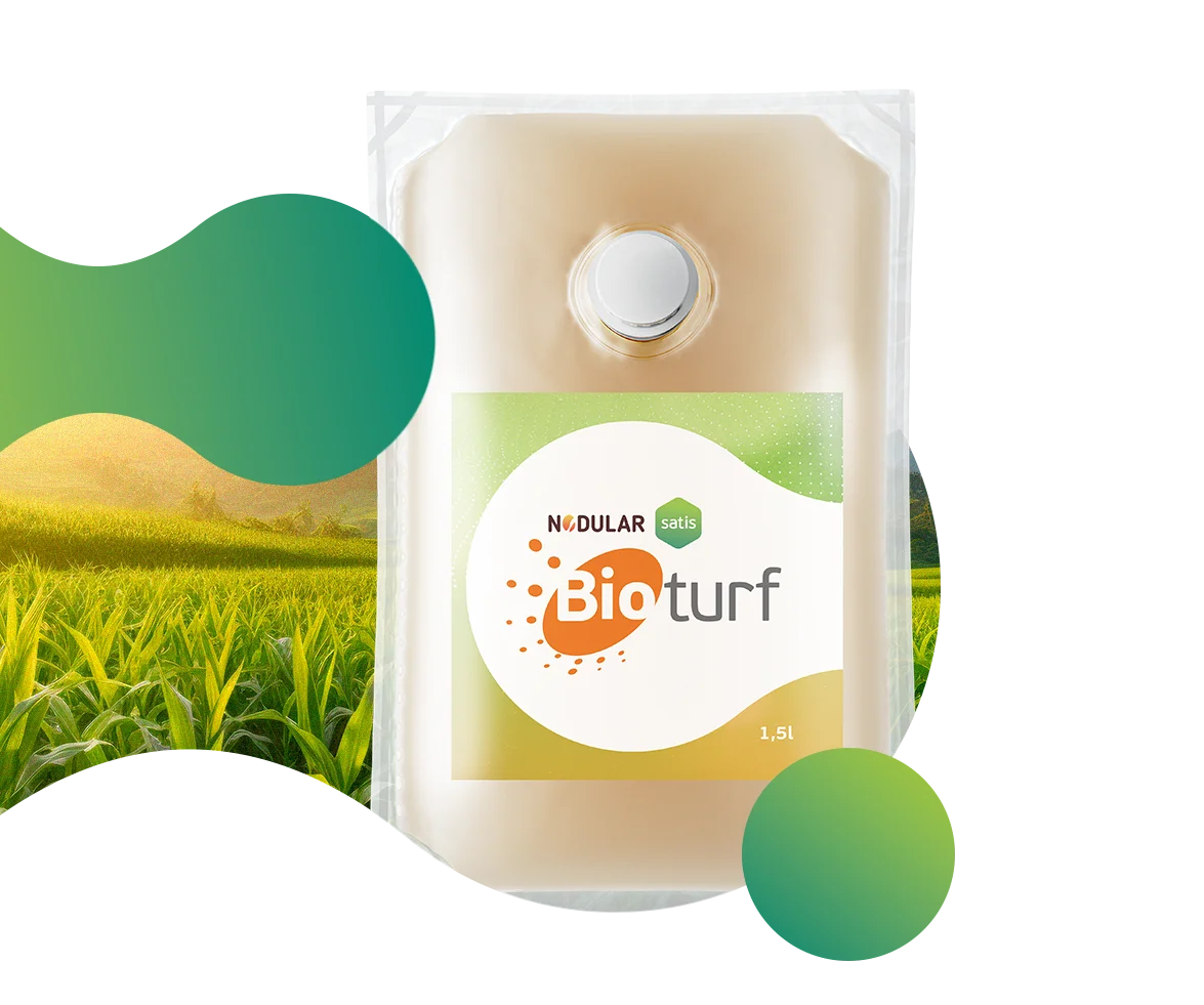 Nodular Bioturf em embalagem cuja fórmula promove Fixação Biológica de Nitrogênio com Bradyrhizobium sp. para Culturas Mais Produtivas