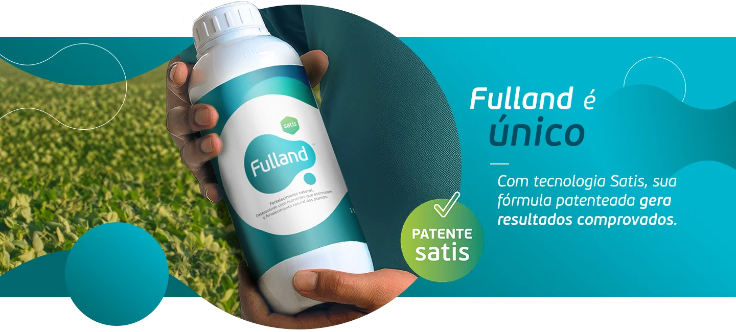 Banner Fulland