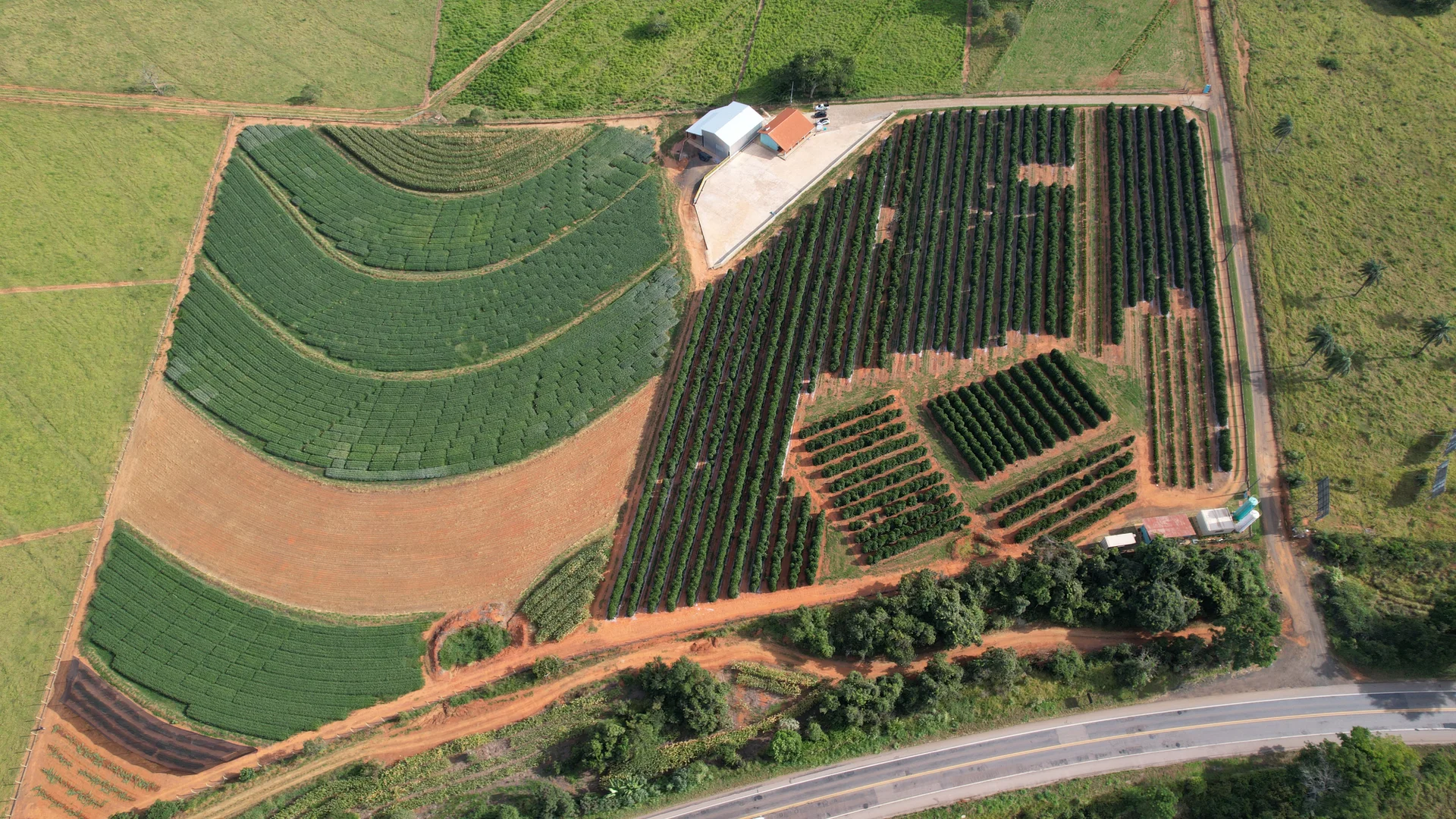 Resultados Comprovados em Campo