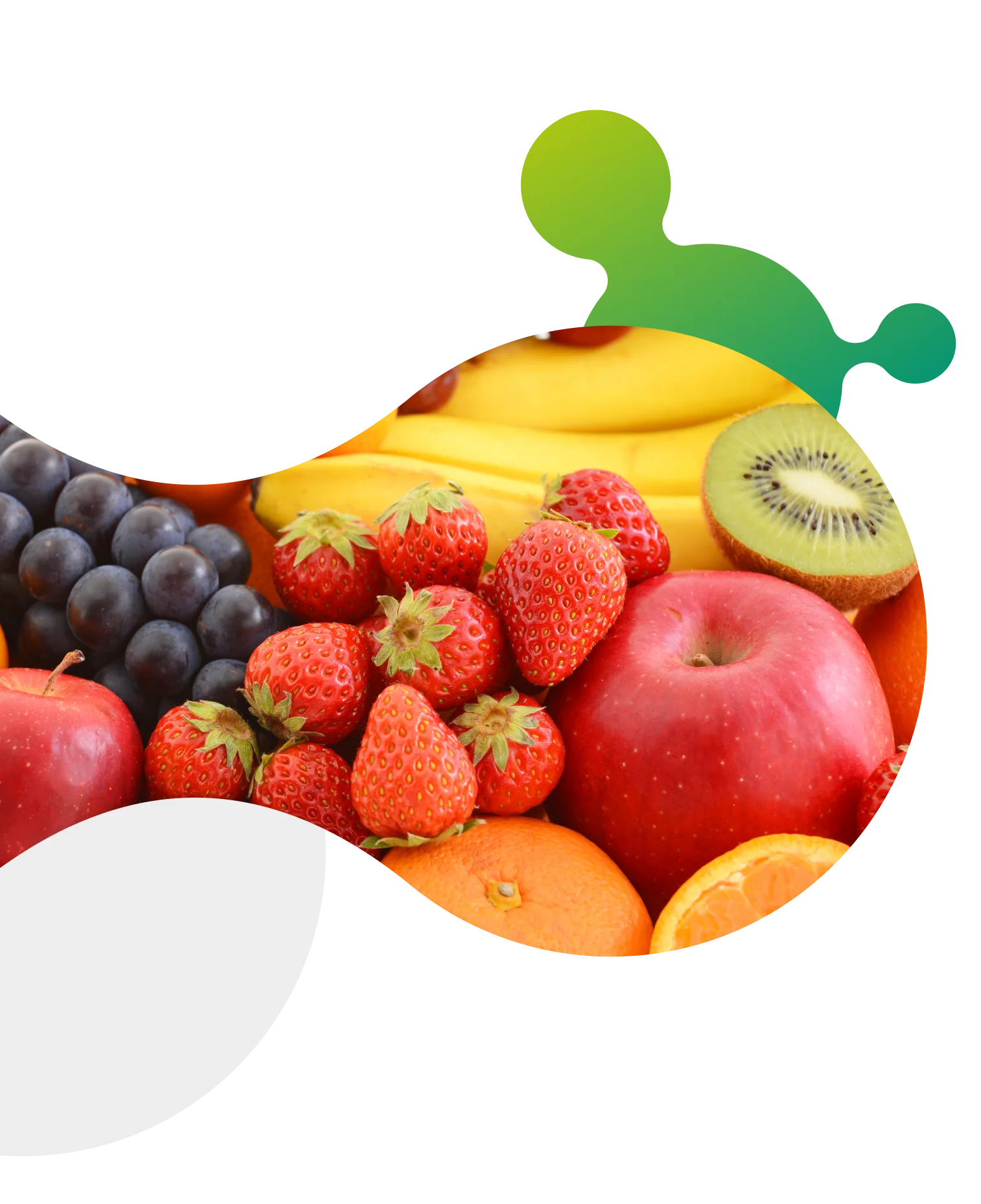 Mix de frutas saudáveis recém-colhidas, mostrando a diversidade e qualidade das colheitas.