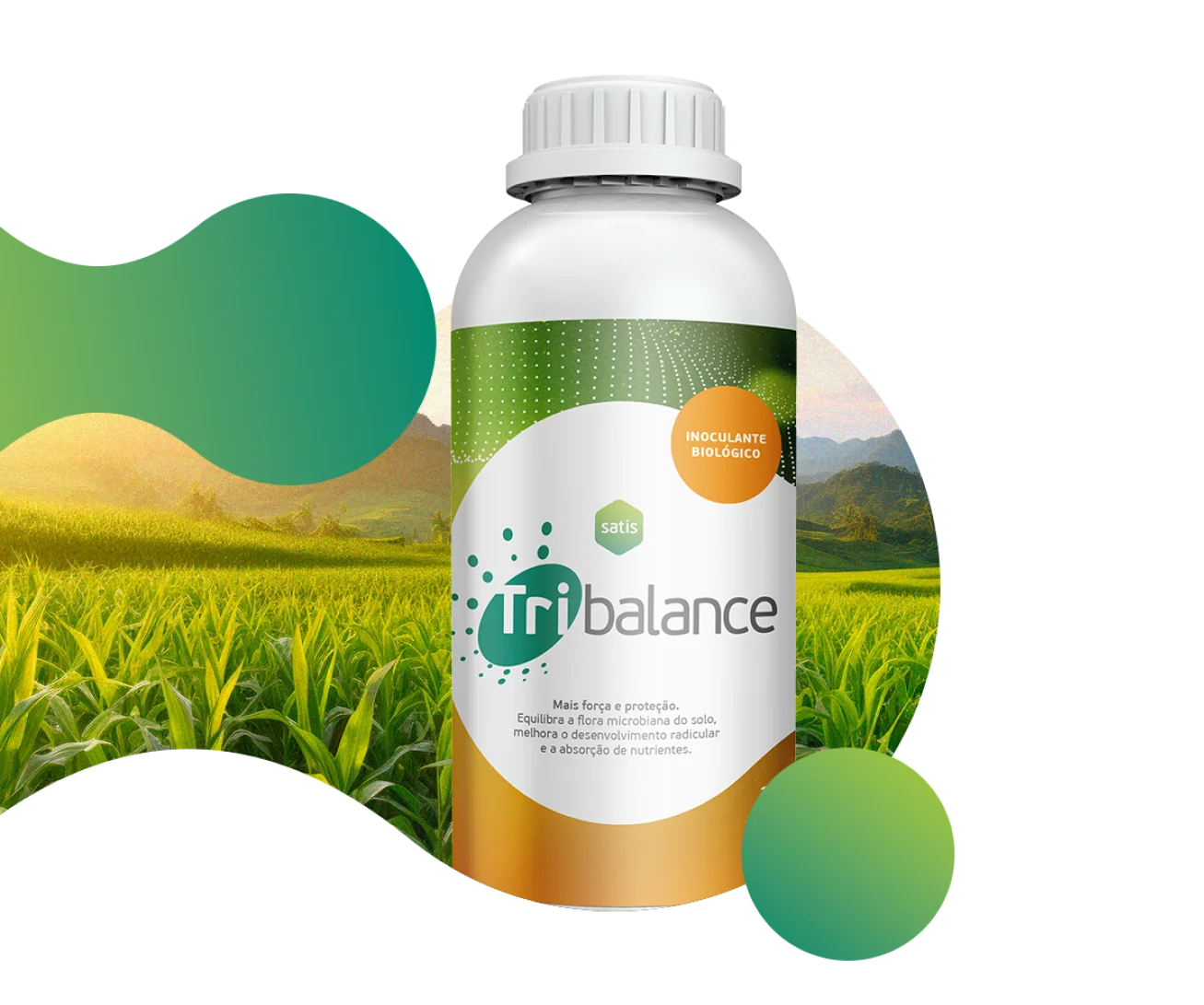 Tribalance