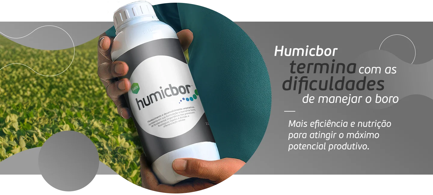 Banner Humicbor