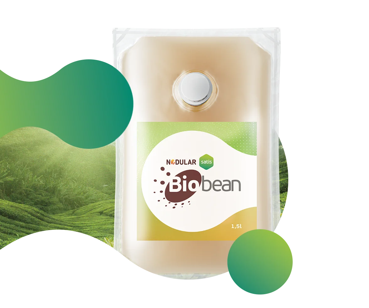 Nodular Biobean Liq em embalagem no formato sachê apresenta em sua formulação o microorganismo Rhizobium tropici.