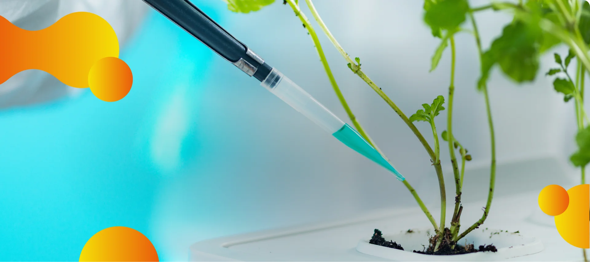 Inovação e tecnologia para o campo