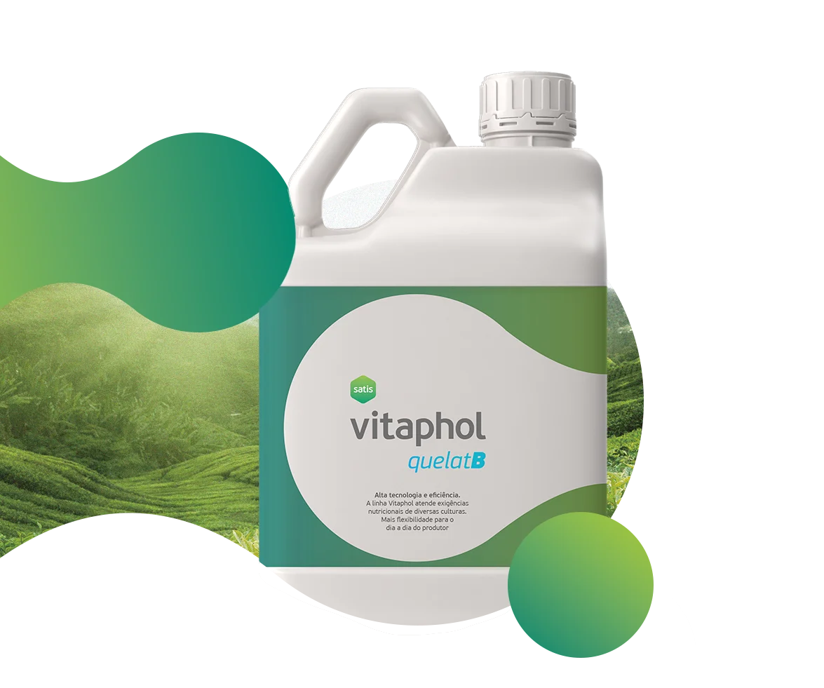Vitaphol Quelat-B na foto é fertilizante em galão para aplicação foliar com Boro Quelatado