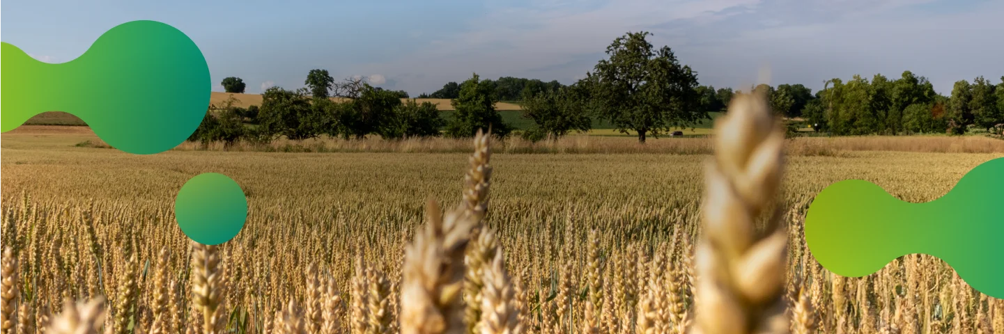 Inovação e tecnologia para o campo