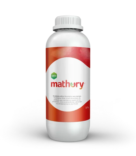 Mathury
