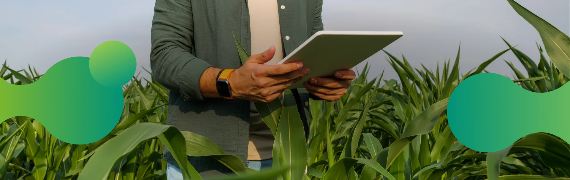 Inovação e tecnologia para o campo