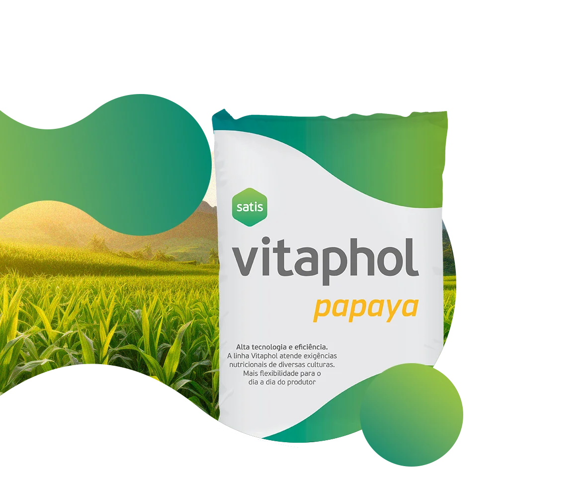 Vitaphol Papaya em pacote de 2kg com fórmula para cultura de frutas especialmente Mamão