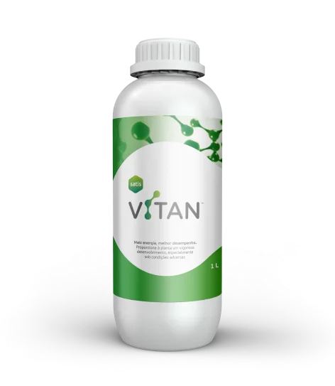 Vitan